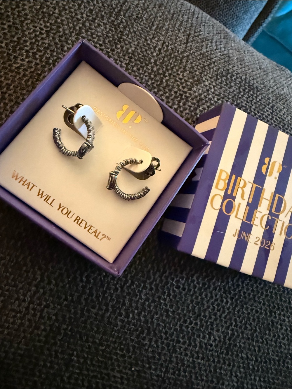 June 2026 Silver Twisted Hoop Earrings